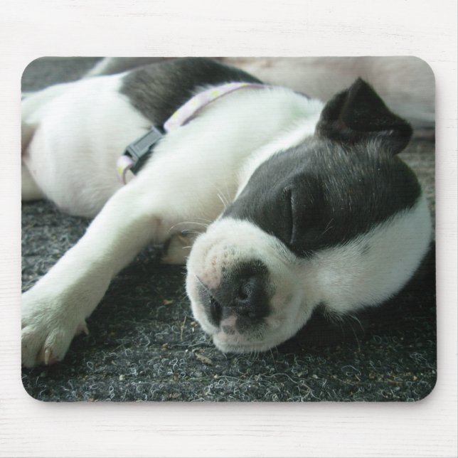 Alfombrilla De Ratón panda (Frente)