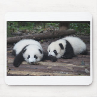 Alfombrilla De Ratón Panda