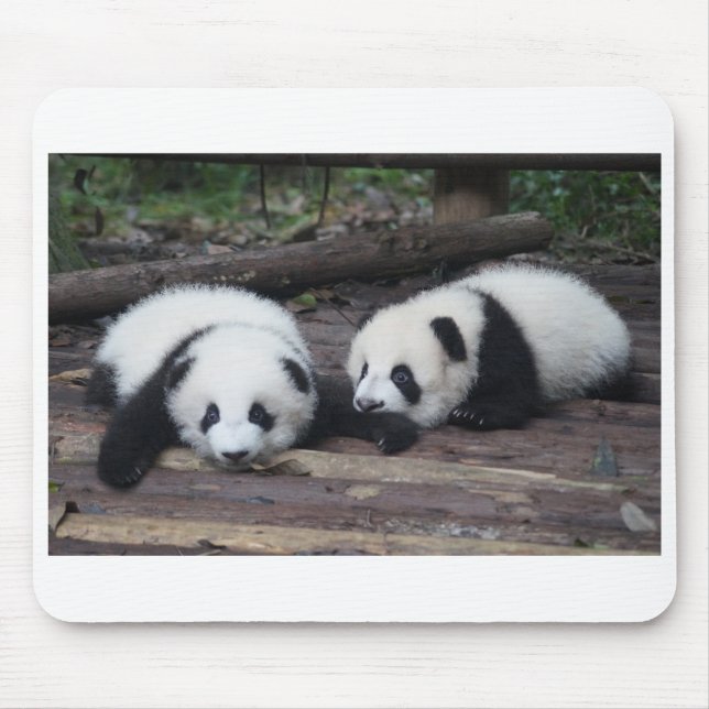Alfombrilla De Ratón Panda (Frente)