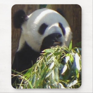 Alfombrilla De Ratón Panda