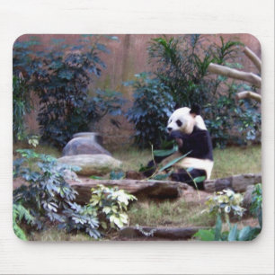 Alfombrilla De Ratón Panda