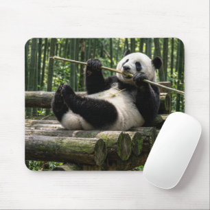 Alfombrilla De Ratón Panda en una plataforma de troncos