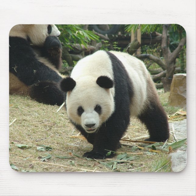 Alfombrilla De Ratón Panda gigante (Frente)