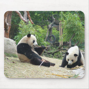 Alfombrilla De Ratón Panda gigante