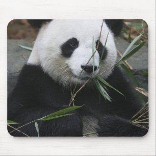 Alfombrilla De Ratón Panda gigante