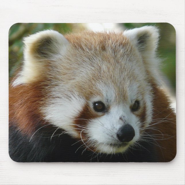 Alfombrilla De Ratón Panda roja (Frente)
