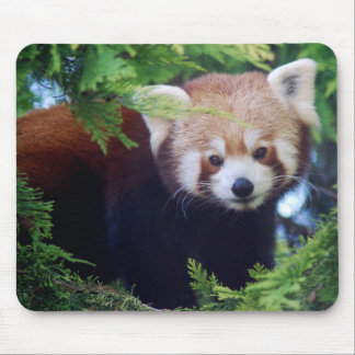 Alfombrilla De Ratón Panda roja Mousepad