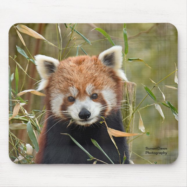 Alfombrilla De Ratón Panda rojo (Frente)