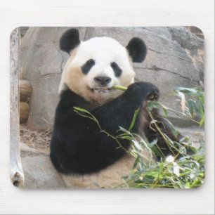 Alfombrilla De Ratón Panda Snack