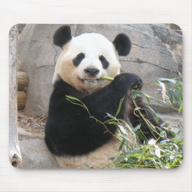 Alfombrilla De Ratón Panda Snack (Frente)