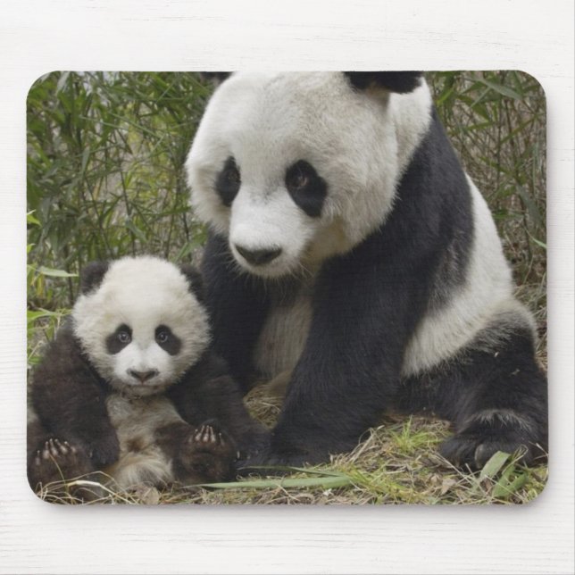 Alfombrilla De Ratón pandas (Frente)