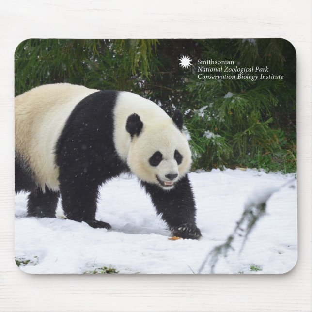 Alfombrilla De Ratón Pandas gigantes de Smithsonian el | en la nieve (Frente)