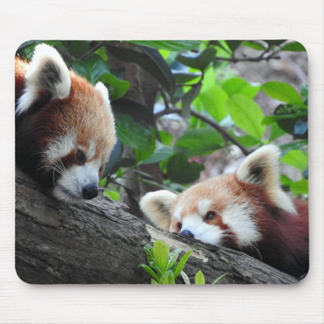 Alfombrilla De Ratón Pandas rojos (Frente)