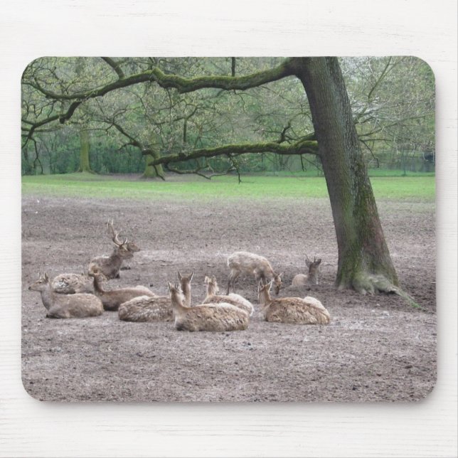 Alfombrilla De Ratón Panel de ratón (Frente)