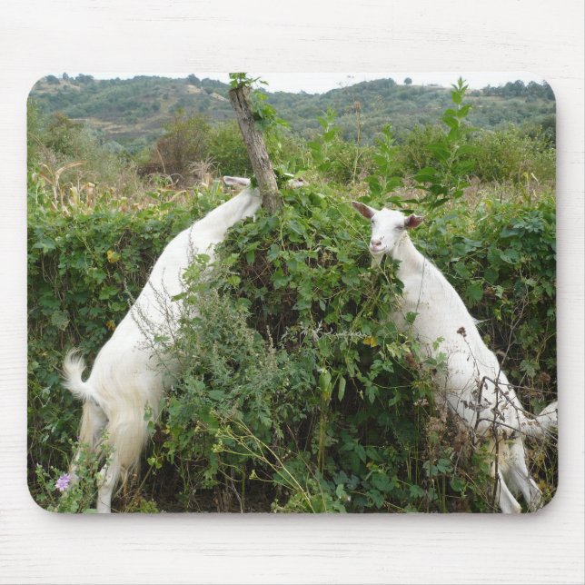 Alfombrilla De Ratón Panel de ratón (Frente)