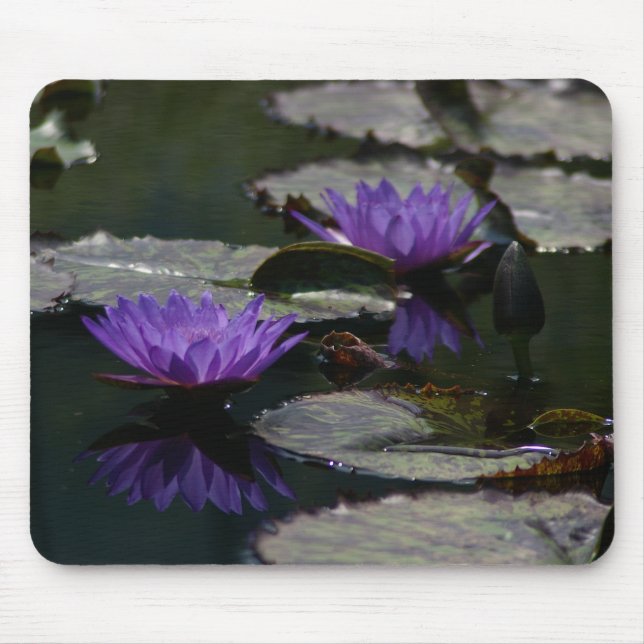 Alfombrilla De Ratón Panel de ratón de dos Purple Lotus Waterlilies (Frente)