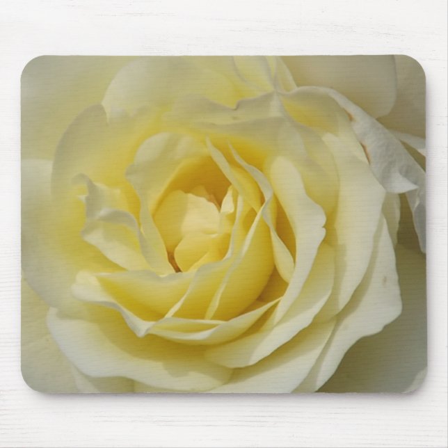 Alfombrilla De Ratón Panel de ratón de rosa blanca (Frente)