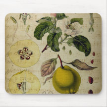 Panel de ratón de tarjeta de cosecha