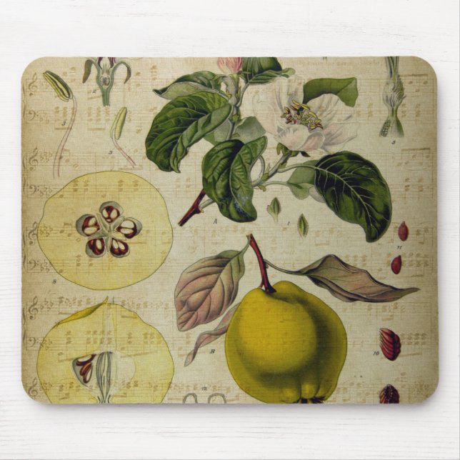 Alfombrilla De Ratón Panel de ratón de tarjeta de cosecha (Frente)