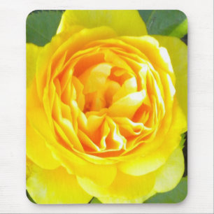 Alfombrilla De Ratón Panel de ratón rosa amarillo