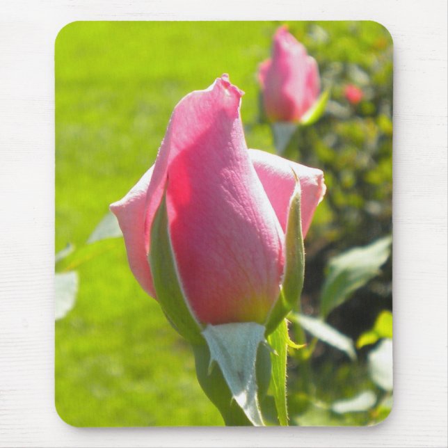 Alfombrilla De Ratón Panel de ratón Rosa Bud Rosa (Frente)