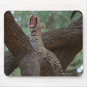 Alfombrilla De Ratón Panorama