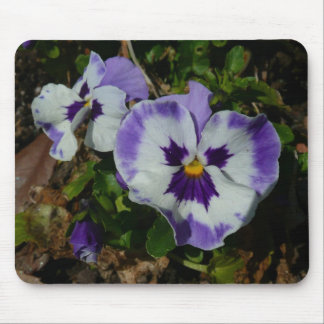 Alfombrilla De Ratón Pansias moradas y blancas con flores coloridas