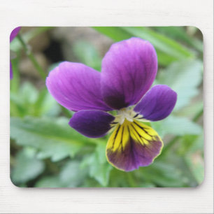Alfombrilla De Ratón Pansy Mousepad