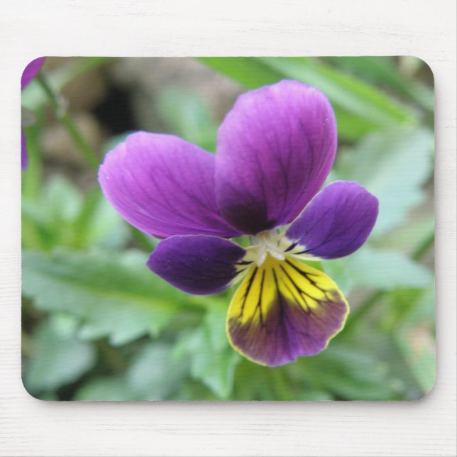 Alfombrilla De Ratón Pansy Mousepad (Frente)