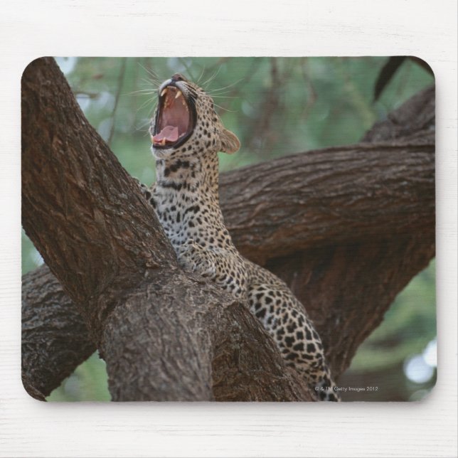 Alfombrilla De Ratón Panther (Frente)