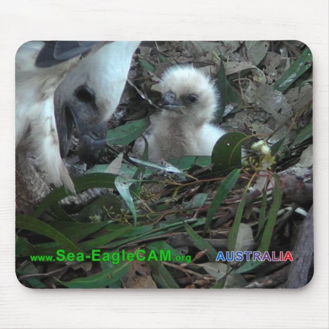 Alfombrilla De Ratón Papá con S2 Mousepad 5 horizontales (Frente)