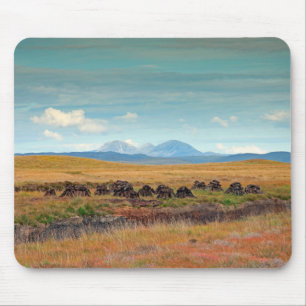 Alfombrilla De Ratón Papas del Jura de Islay, Escocia