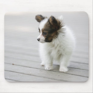 Alfombrilla De Ratón Papillon