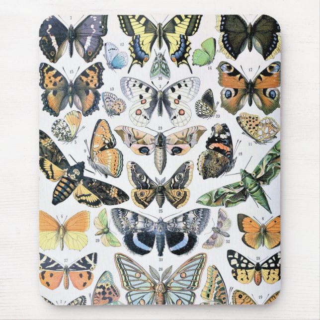 Alfombrilla De Ratón Papillon de mariposa de época de arte de Ilustraci (Frente)