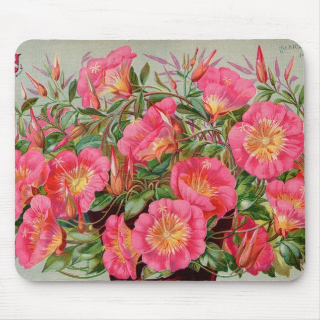 Alfombrilla De Ratón Paquetes Primrose Seed Mousepad (Frente)