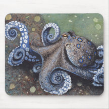 Par del ratón de trama