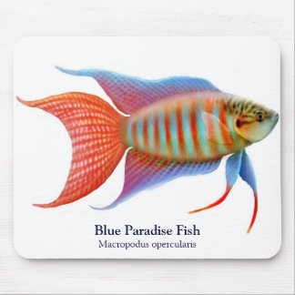 Alfombrilla De Ratón Paraíso Azul Fish Mousepad