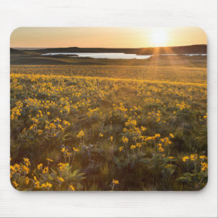 Alfombrilla De Ratón Paraje de flores silvestres de Balsamroot de hoja 