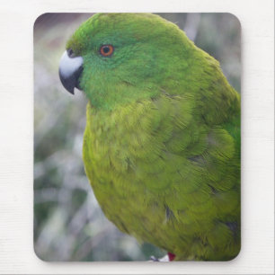 Alfombrilla De Ratón Parakeet de la isla de contrarios