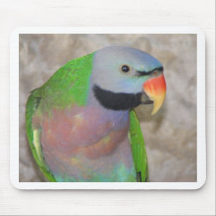 Alfombrilla De Ratón Parakeet de Moustached