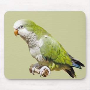 Alfombrilla De Ratón Parakeet del monje