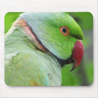 Alfombrilla De Ratón Parakeet Rosa-Anillado Mousepad