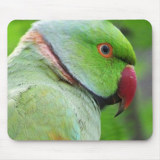 Alfombrilla De Ratón Parakeet Rosa-Anillado Mousepad (Frente)