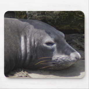 Alfombrilla De Ratón Paramédula de foca elefante