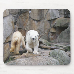 Alfombrilla De Ratón Parasol de OSO POLAR