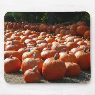 Alfombrilla De Ratón Parche de calabaza Fotografía de la cosecha otoñal