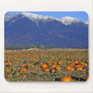 Alfombrilla De Ratón Parche de calabazas del Valle Flathead Montana