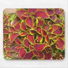 Alfombrilla De Ratón Parche de Flor Coleus Mousepad