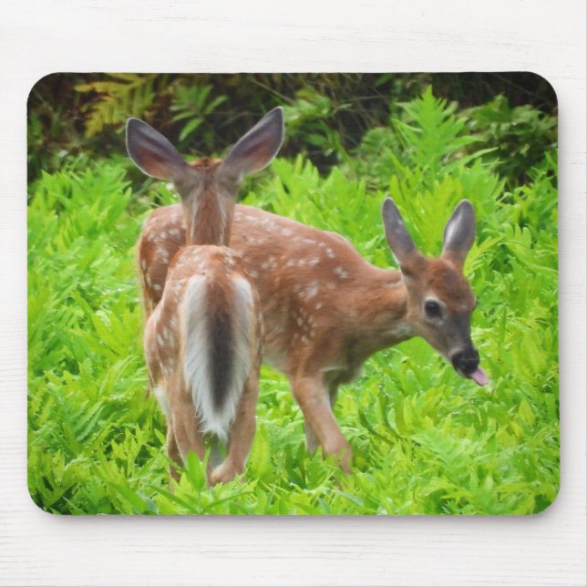 Alfombrilla De Ratón Pardos de ciervos gemelos de cola blanca (Frente)
