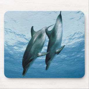Alfombrilla De Ratón Pareja de delfines